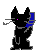 A kitten welcoming visitors to the contact page
